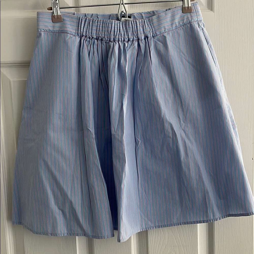 J. Crew Blue Pin Striped Skirt
